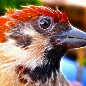 Little Sparrow by Iwan Ramawan - Digital Art Things