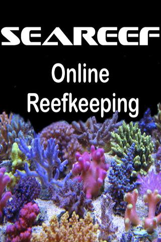 Seareef Reef Forums