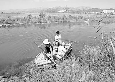 albufera de Alcudia