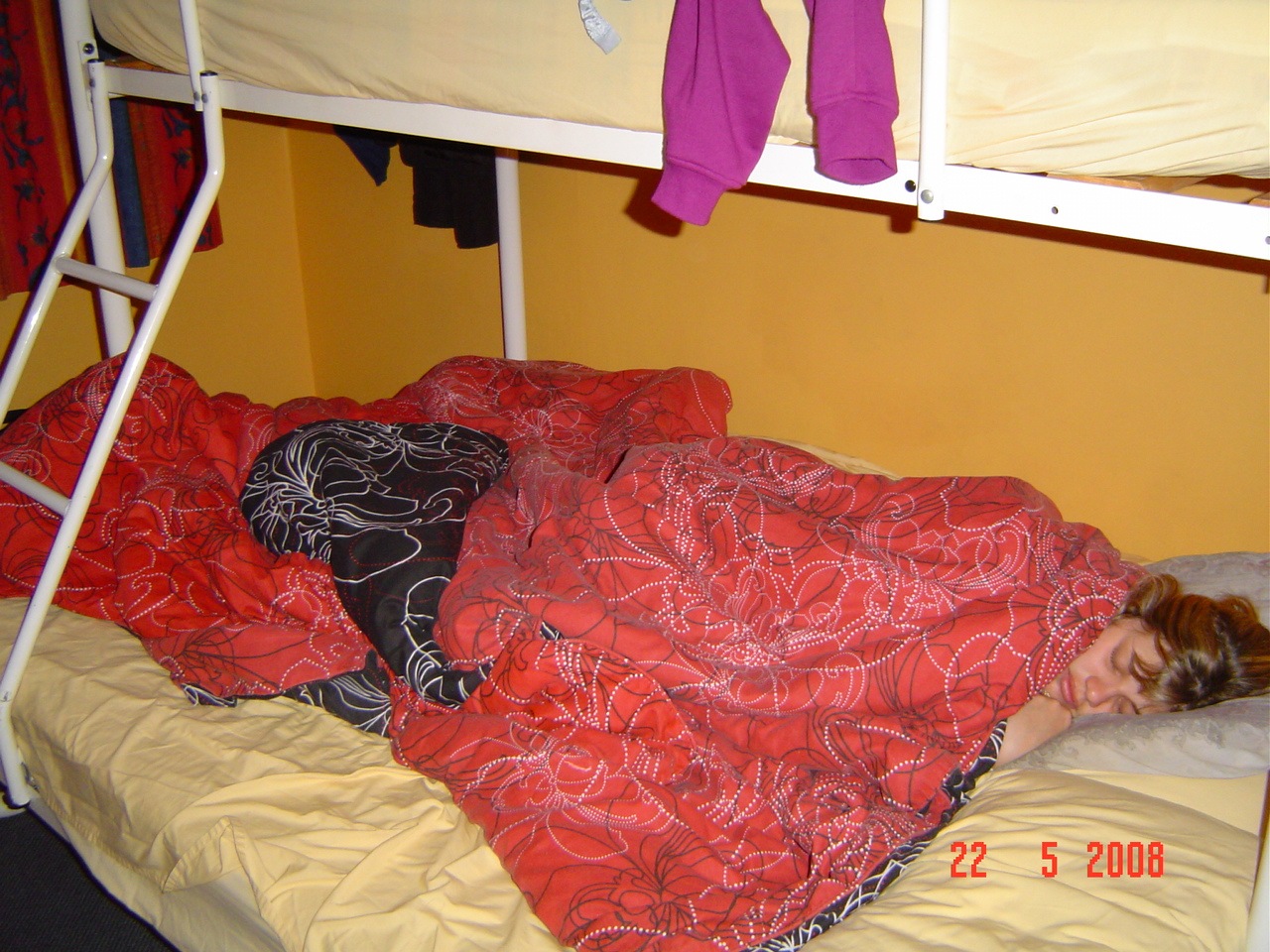 [DSC000292.jpg]