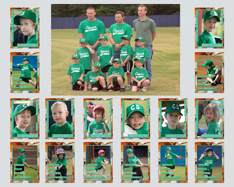 IMAGE: http://lh6.ggpht.com/fcrews/SEX6sXJb6aI/AAAAAAAAays/9MFiKoER7V8/s800/Team20x162.jpg