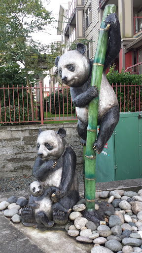 Pacifica Pandas