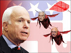 mccains_annoyed_080513_mn.jpg