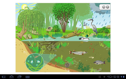 Écosystème de l'étang