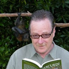 Steve A