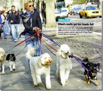 ellen degeneres dog