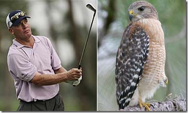  Late Breaking News / Pro Golfer Stalks And Kills Hawk / Tripp Isenhour PGA Pro