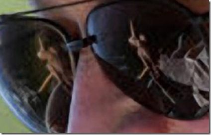 Dick Cheney dark Sunglasses  reflection image