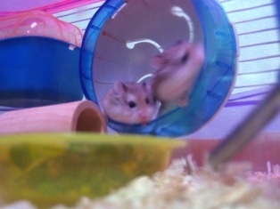 [0241[3].jpg]