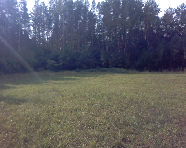 [Pictur15464.jpg]