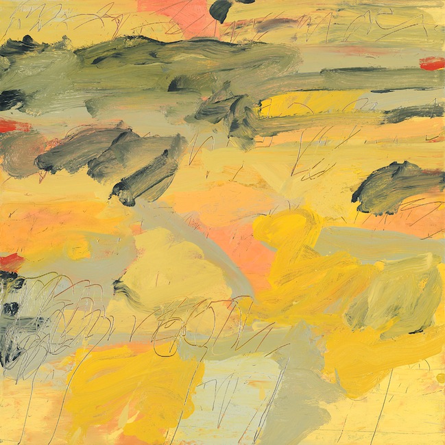 <p>
	<strong>Field Notes I</strong><br />
	Oil on canvas<br />
	20&rdquo; x 20&rdquo;<br />
	2012<br />
	Private collection, Toronto<br />
	&nbsp;</p>

