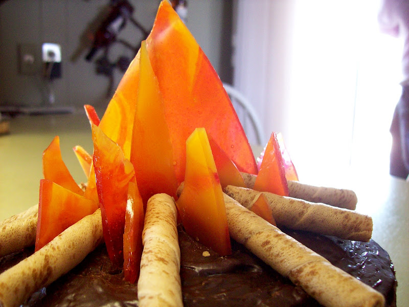 Campfire cake Cake Decorating