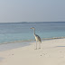HPIM0868.JPG