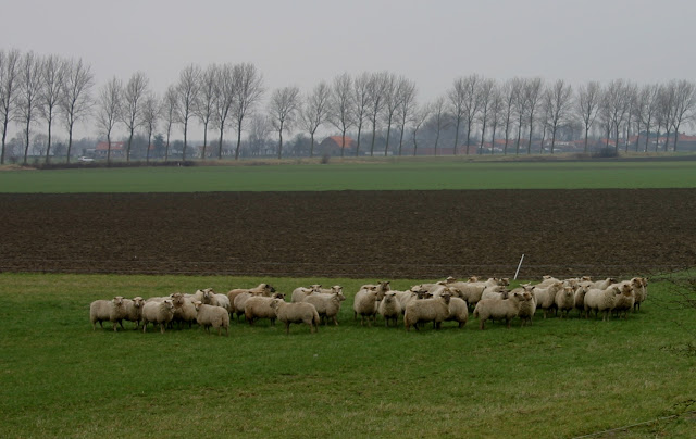 Foto de Oostburg 2 (Nl), Het Grote Gat, dijken en polders