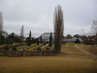 <p>
	Berlin Botanical Gardens and Museum</p>

