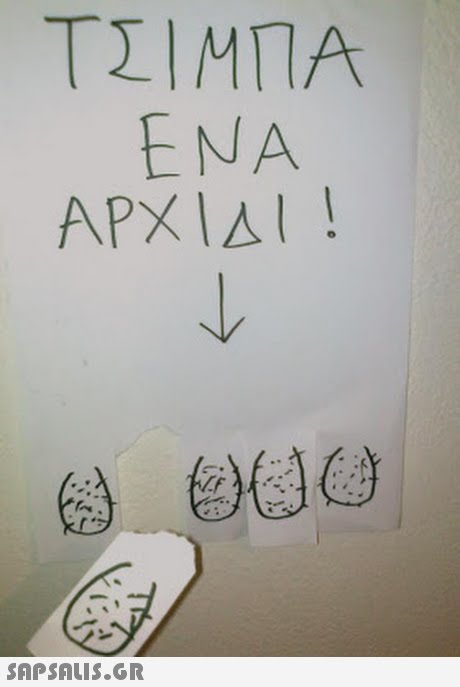 ΤΣΙΜΠΑ ENA ΑΡΧΙΔΙ ! 