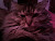 User profile picture thumbnail