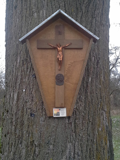Jesus Kreuz Am Baum