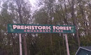 Prehistoric Forest
