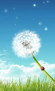 How to download Ladybug Wallpaper Live HD 1.0 mod apk for android