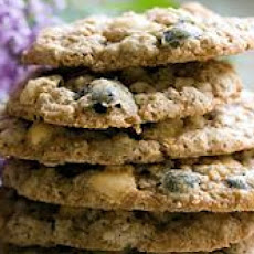 Blueberry Oat Cookies