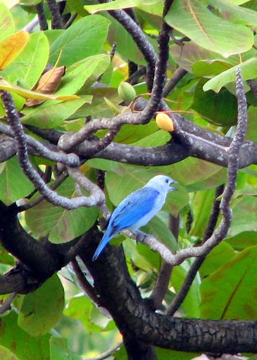 Spotting Image 1