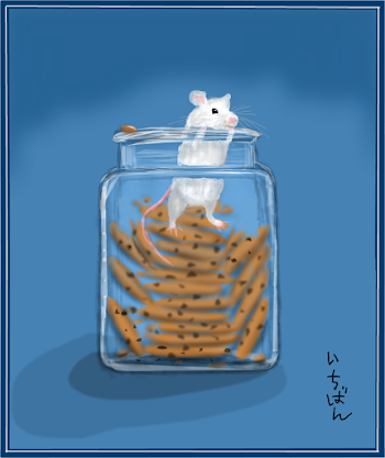 The Cookie Jar