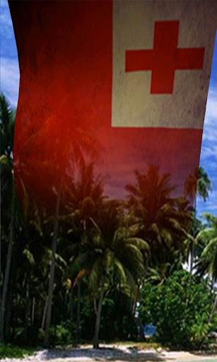 Flags of Oceania 3D Free