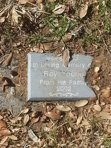 SP Roy Young Memorial
