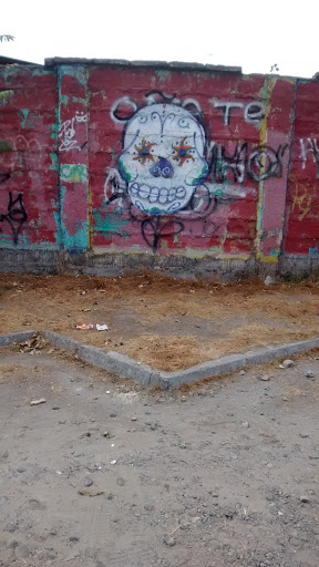 Graffiti Alejandro Vial