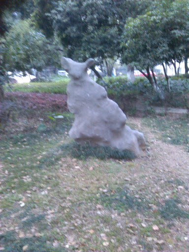 Kangaroo Stone