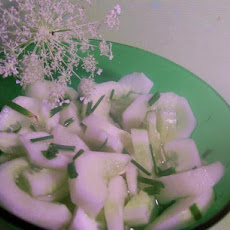 Cucumber Quick Salad