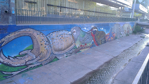 Graffiti aves y armadillos