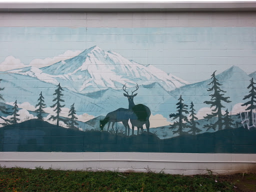 Mountain Deer Mural