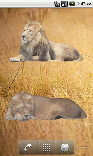 【免費個人化App】Lions Sleeping Sticker-APP點子