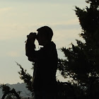CoastalJHawk