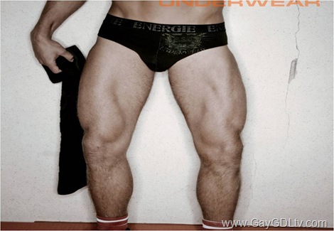 Energie underwear 8