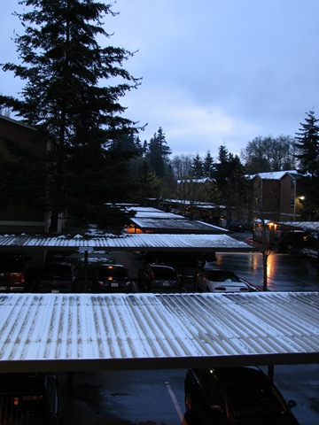 [Spring Snow 2 019[2].jpg]