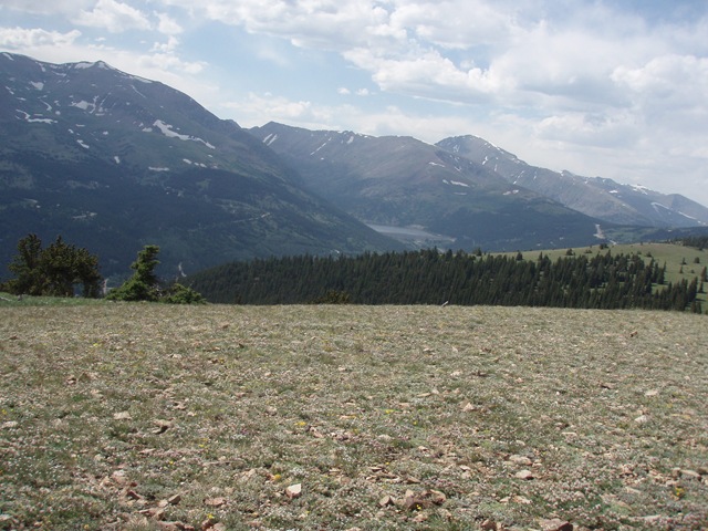[P62501463.jpg]