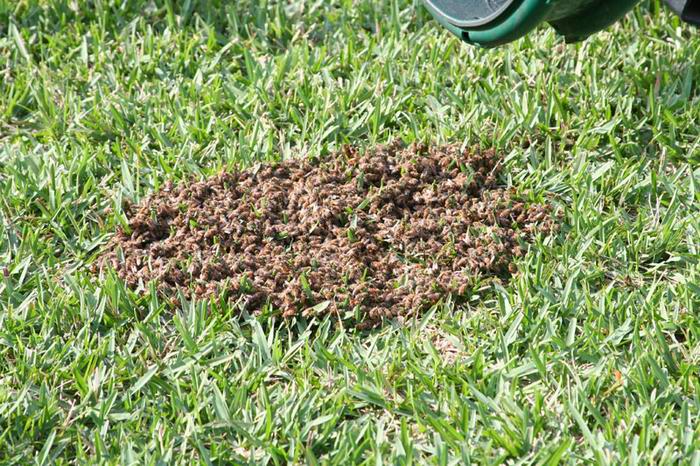 destruction of beehive