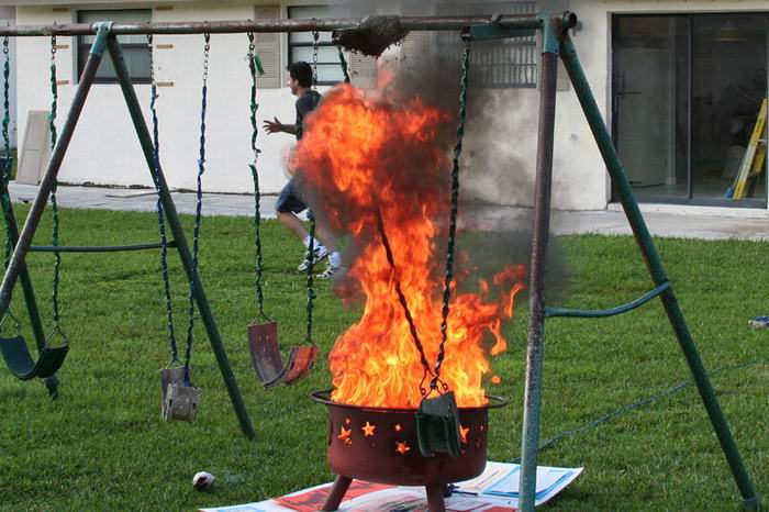 destruction of beehive