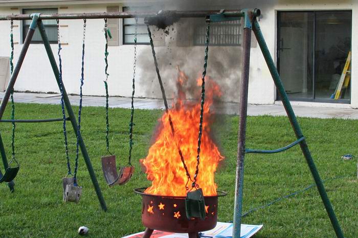 destruction of beehive
