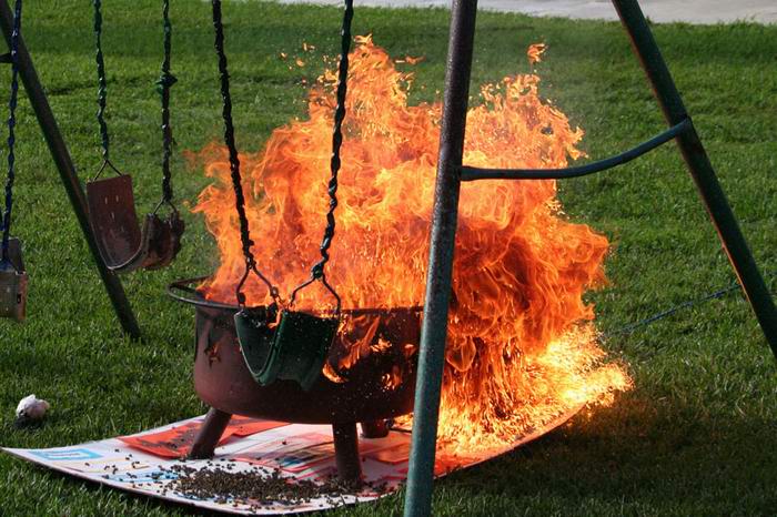 destruction of beehive