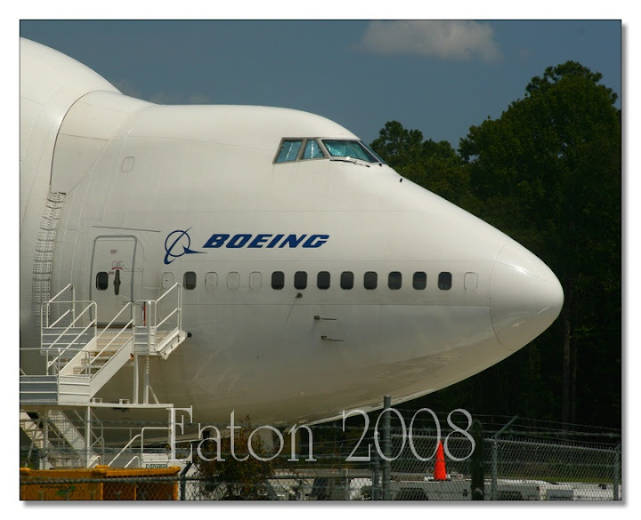 IMAGE: http://lh6.ggpht.com/gfrgary/SMBtw2gGKlI/AAAAAAAACrA/CHWwoXBewFU/s720/IMG_5802_16x20.jpg