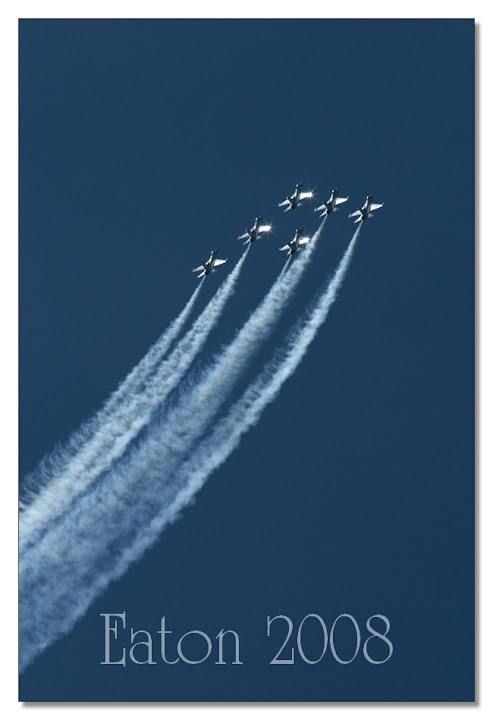 IMAGE: http://lh6.ggpht.com/gfrgary/SMGrdpX6lZI/AAAAAAAACsE/h8G9V5hDsa0/s720/IMG_0167.jpg