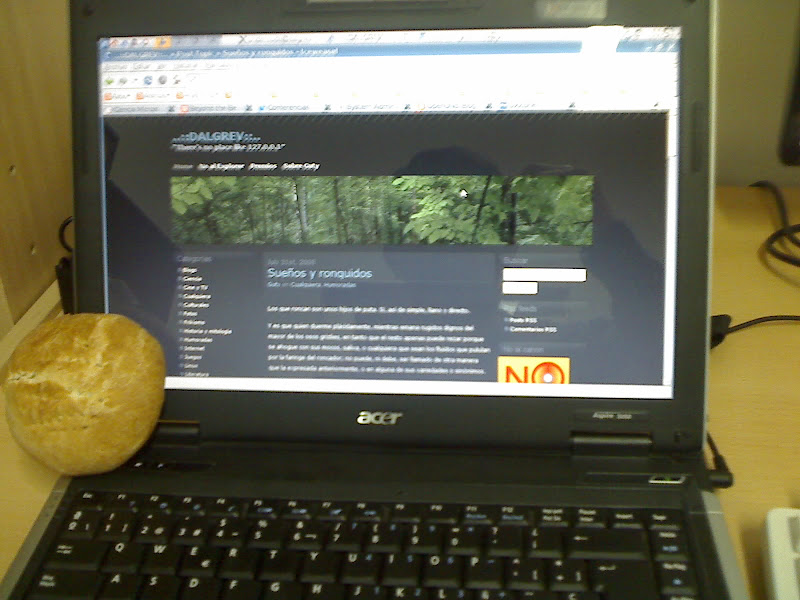 La raspadita, la notebook es mía