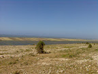 200804-068.jpg