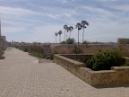 200804-105.jpg