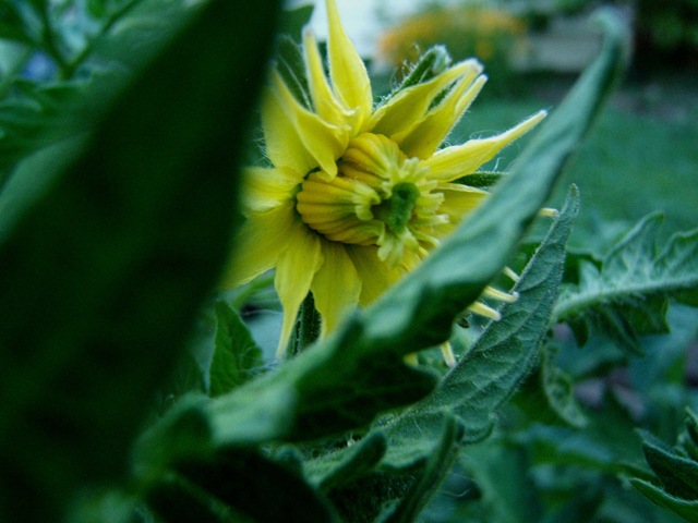 [2008_0628image0024[2].jpg]