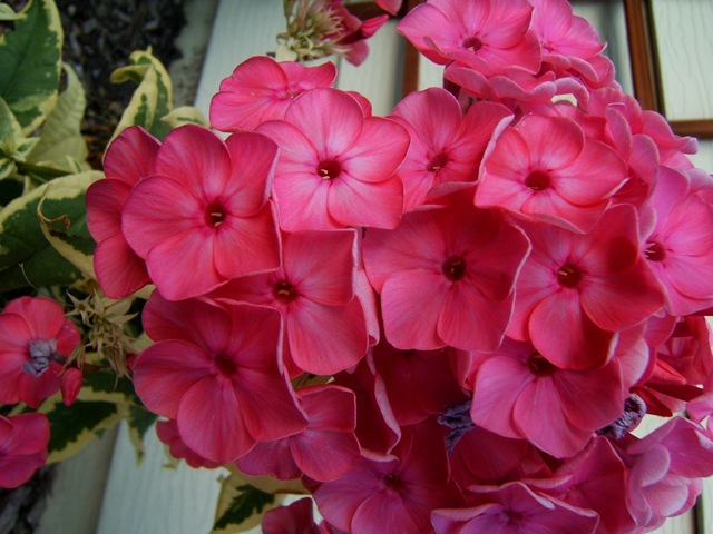 [2008_0727image0034[3].jpg]